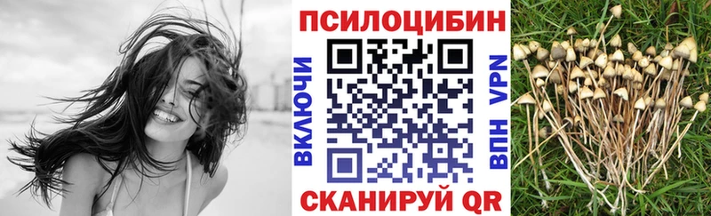 Псилоцибиновые грибы мухоморы Тамбов